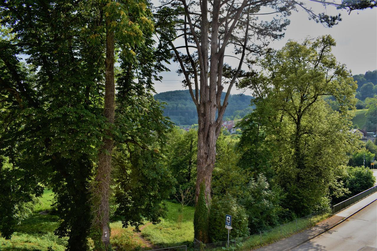 Bad Bruckhaus Erlebnishotel Waldshut-Tiengen Dış mekan fotoğraf